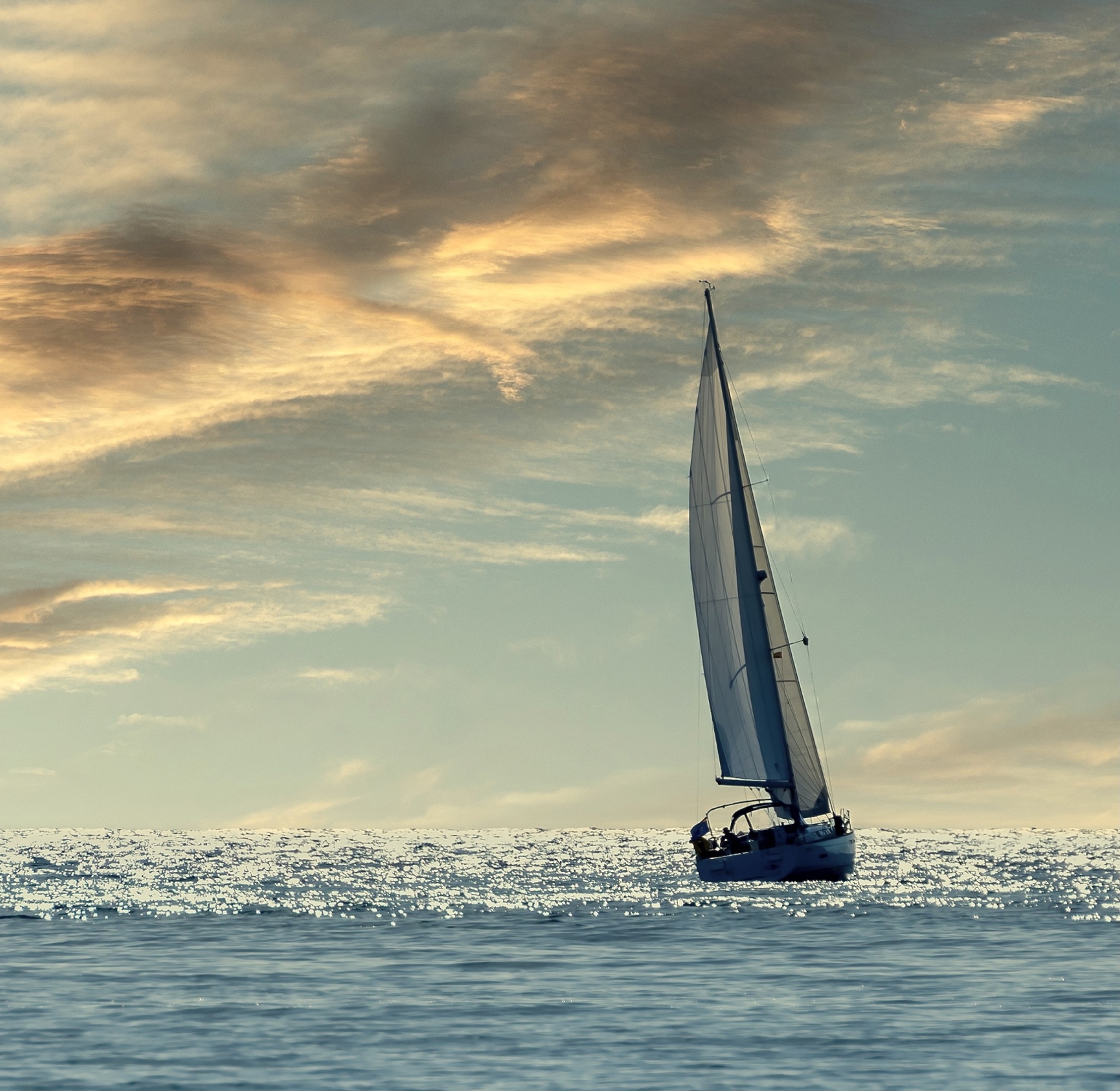 shutterstock 2423115313